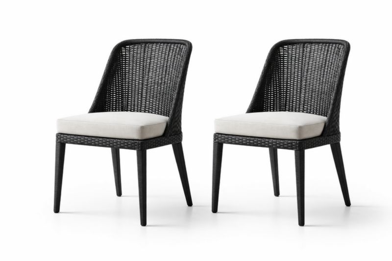 Lot de 2 Chaise de salle à manger en rotin avec coussin en tissu-Furnihavenly