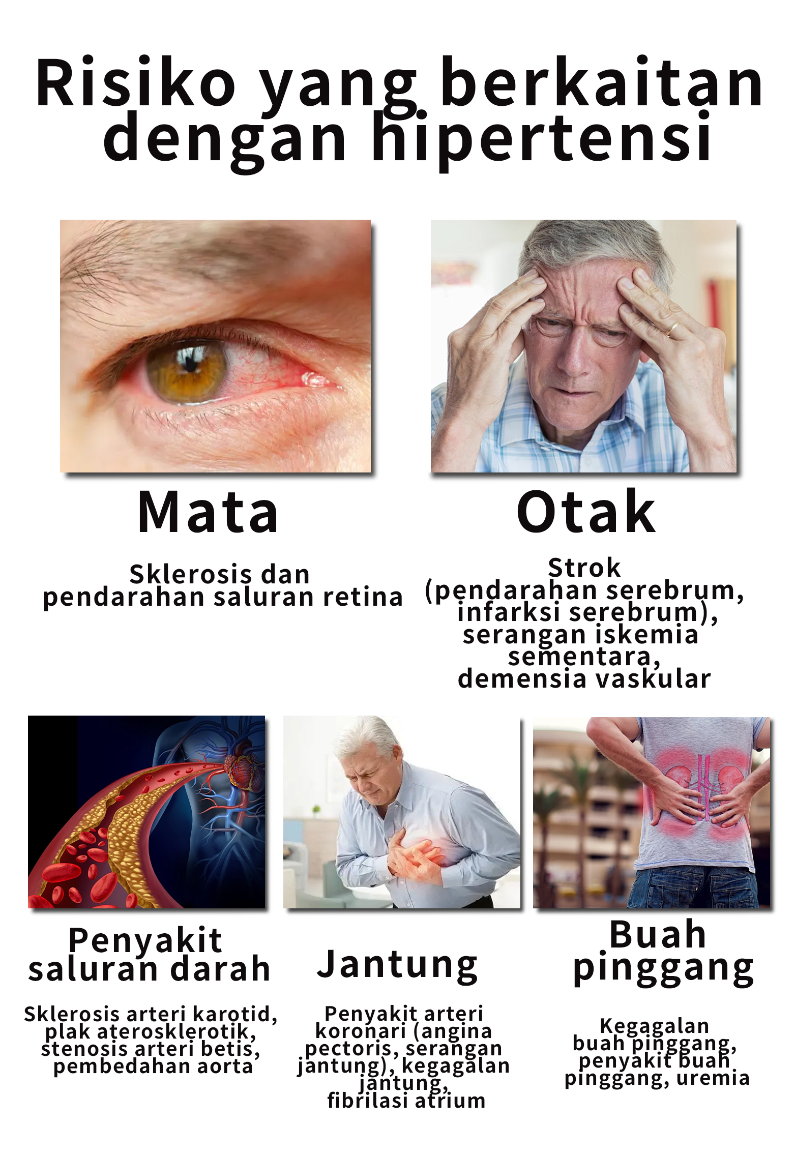 Product details image