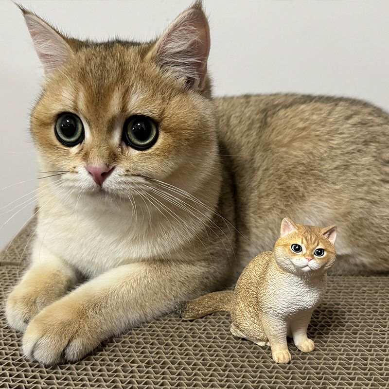 {"default":"Site Image 111 202641"}
