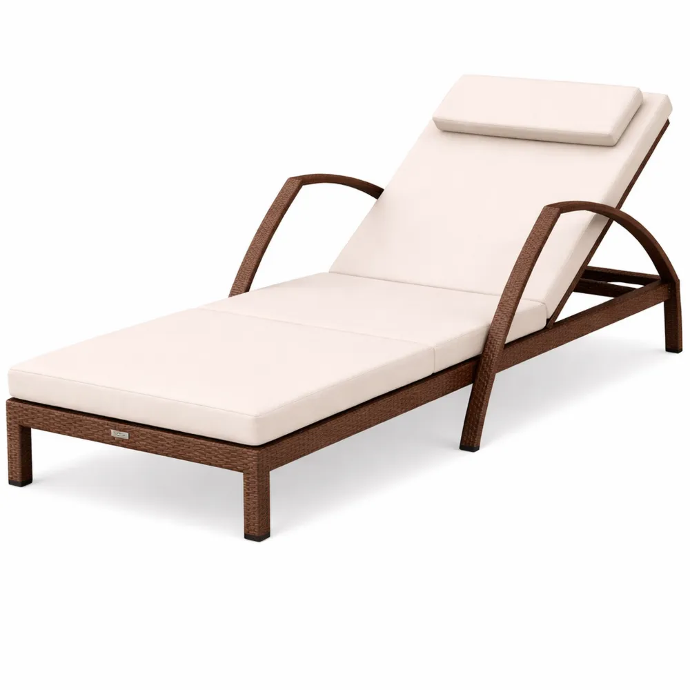 Chaise Longue Jardin Réglable avec Coussin et Accoudoirs