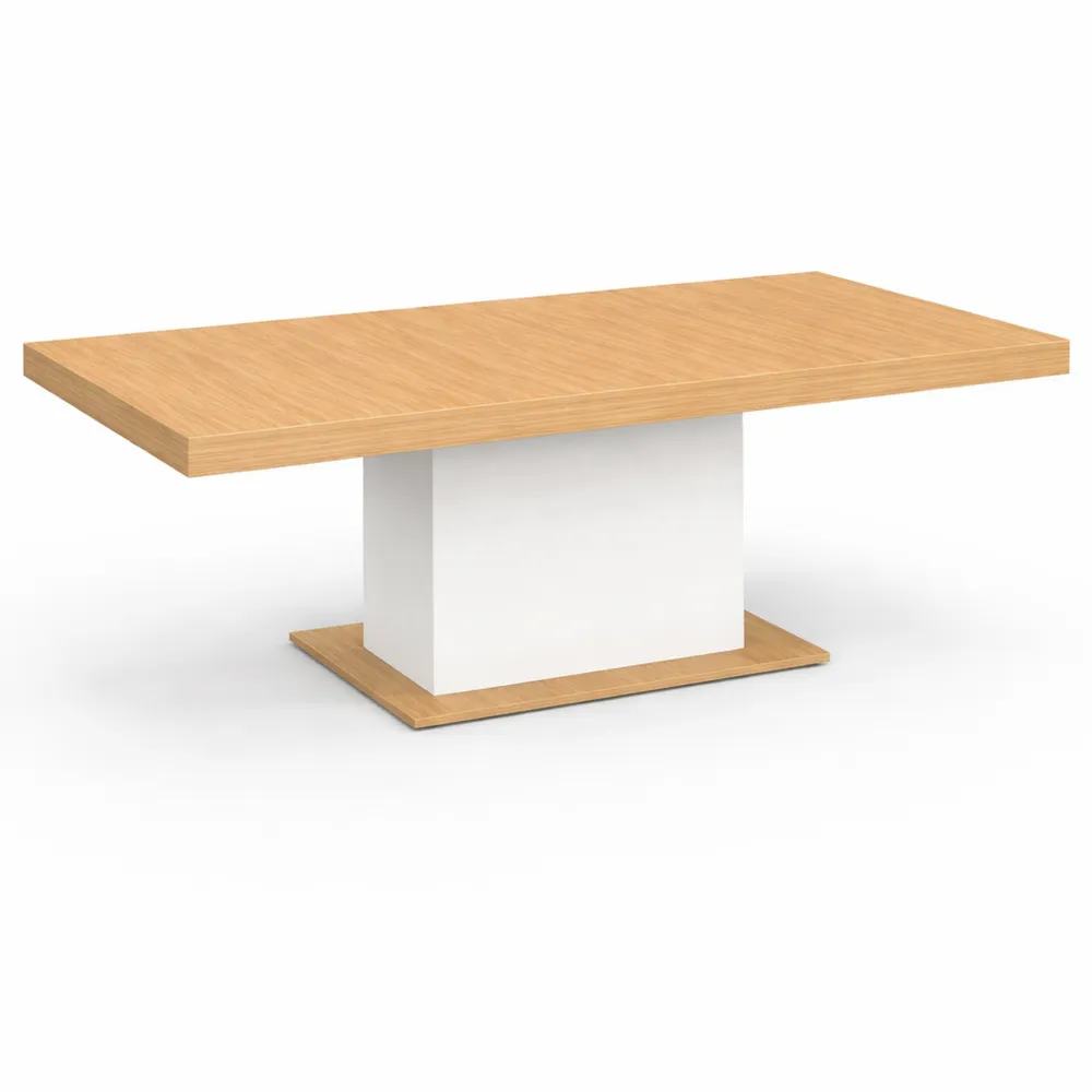 Table extensible rectangulaire 6-10 personnes, bois et blanc, 160-200 cm