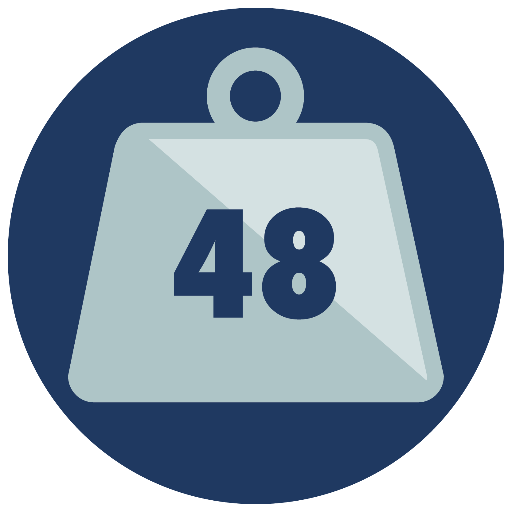 48lb Weight Capacity icon