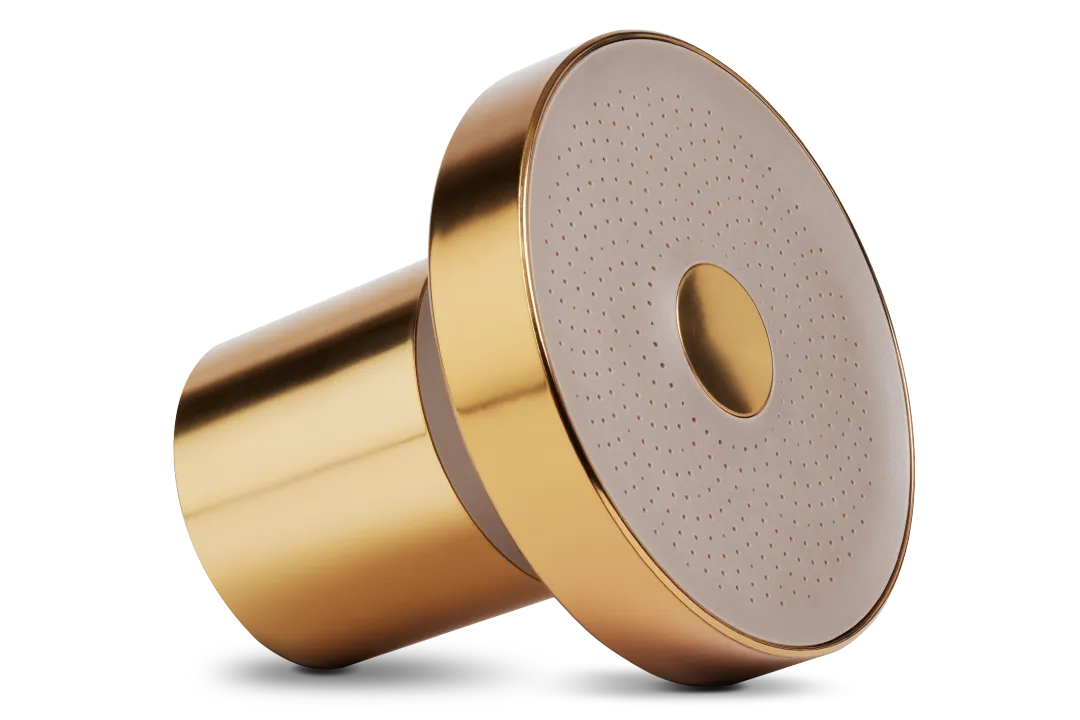 The Best Filtered Showerhead