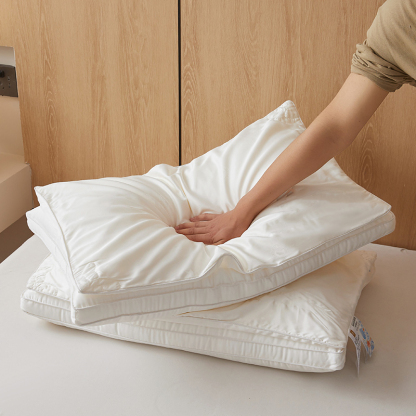 100% Mulberry Silk Filled Pillow