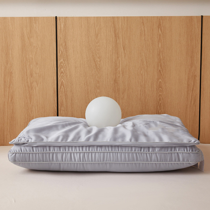 100% Mulberry Silk Filled Pillow