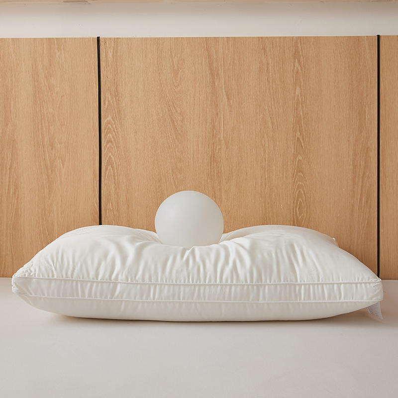 100% Mulberry Silk Filled Pillow