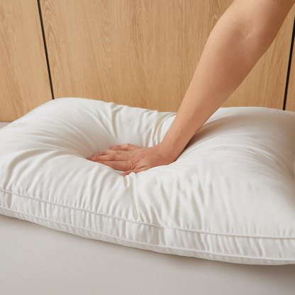 100% Mulberry Silk Filled Pillow