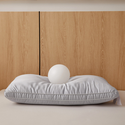 100% Mulberry Silk Filled Pillow