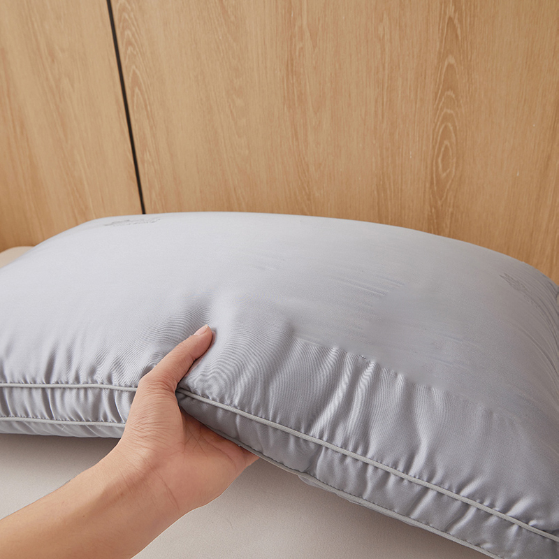 100% Mulberry Silk Filled Pillow