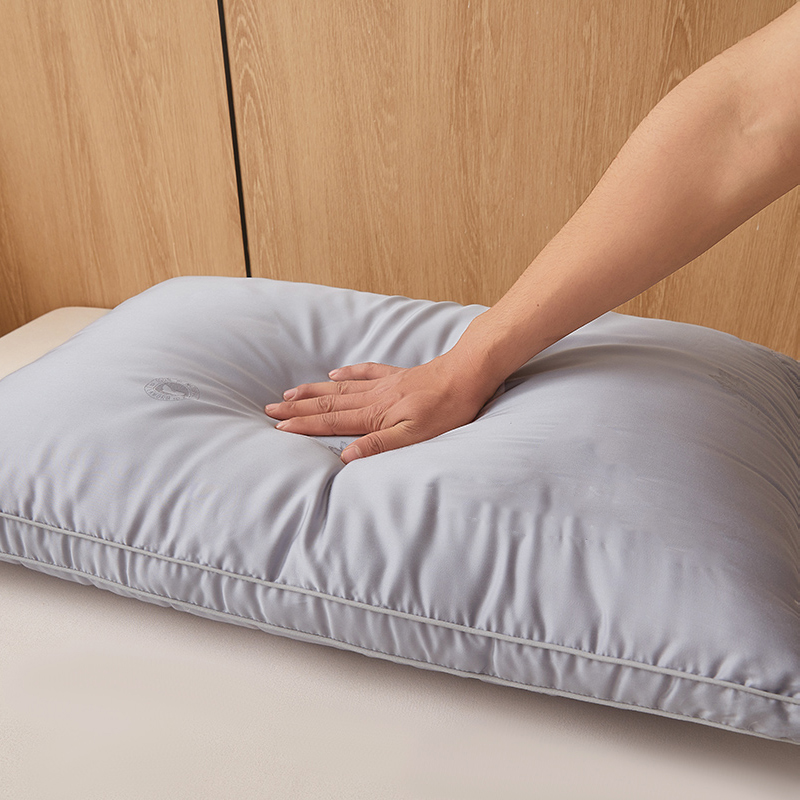 100% Mulberry Silk Filled Pillow