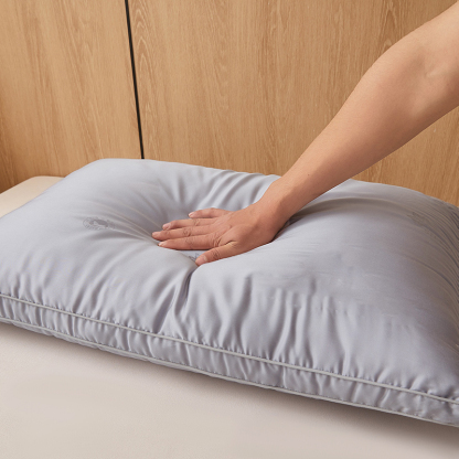 100% Mulberry Silk Filled Pillow