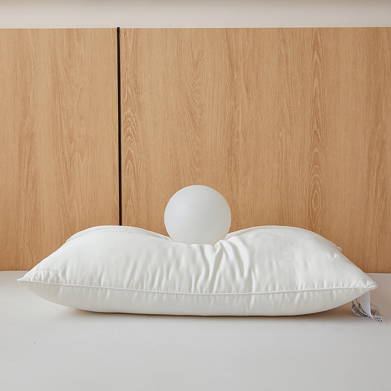 100% Mulberry Silk Filled Pillow