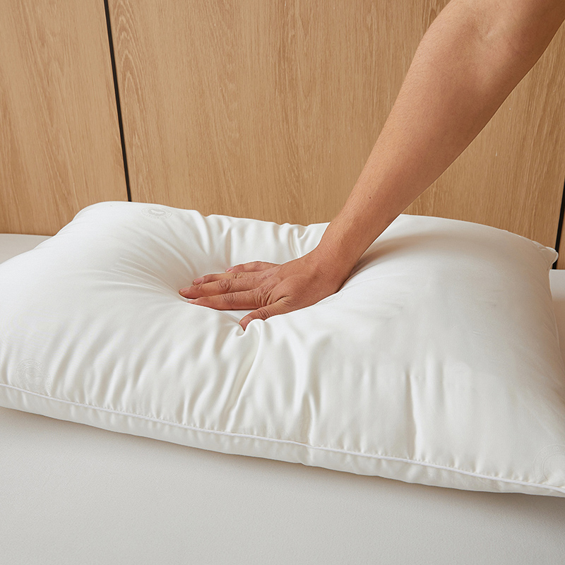 100% Mulberry Silk Filled Pillow