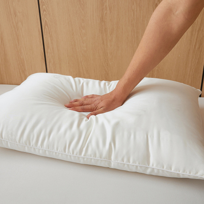 100% Mulberry Silk Filled Pillow