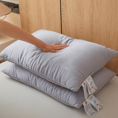 100% Mulberry Silk Filled Pillow
