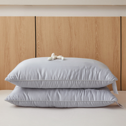 100% Mulberry Silk Filled Pillow