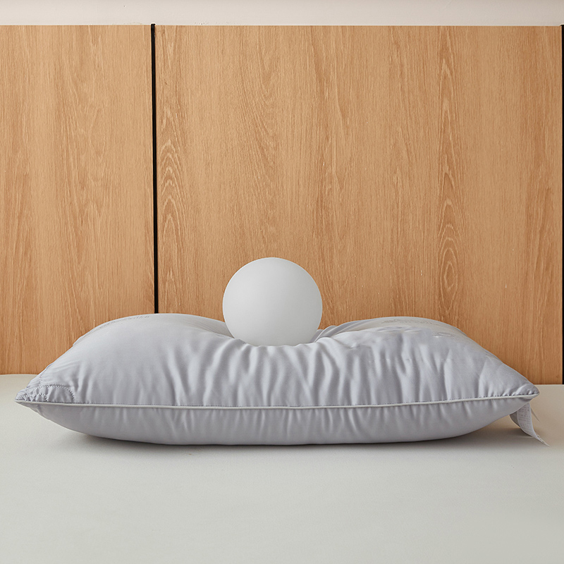 100% Mulberry Silk Filled Pillow