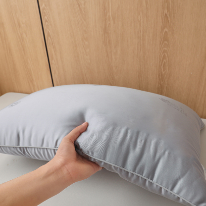 100% Mulberry Silk Filled Pillow