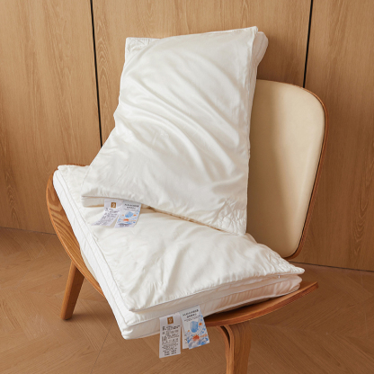 100% Mulberry Silk Filled Pillow