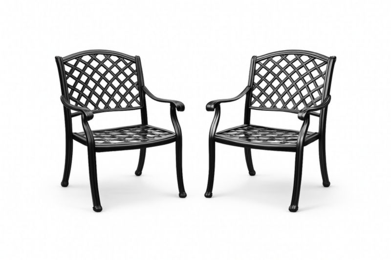 Chaises de Jardin en Aluminium Noir 60x50x90cm Ensemble de 2