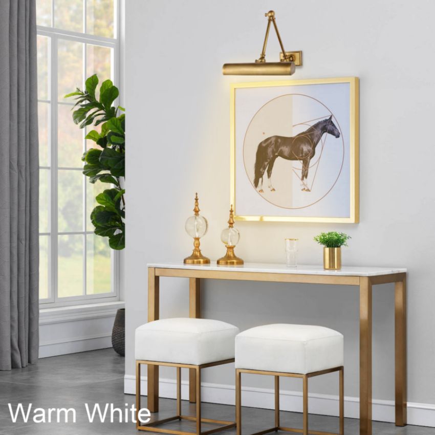 Brenndan Plug-In Hardwired Picture Light