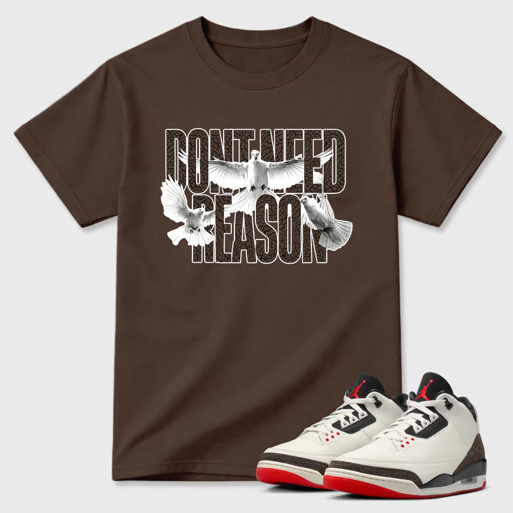 AJ3 World’s Best Dad Match Tee, Match DON’T NEED REASON Shirt