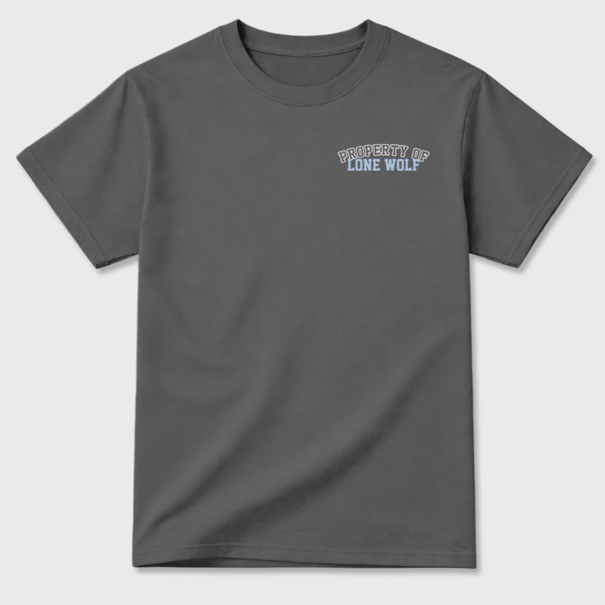 Property of Lone Wolf TEEWAVO Sneaker Tees - Air Jordan 5 Wolf Grey