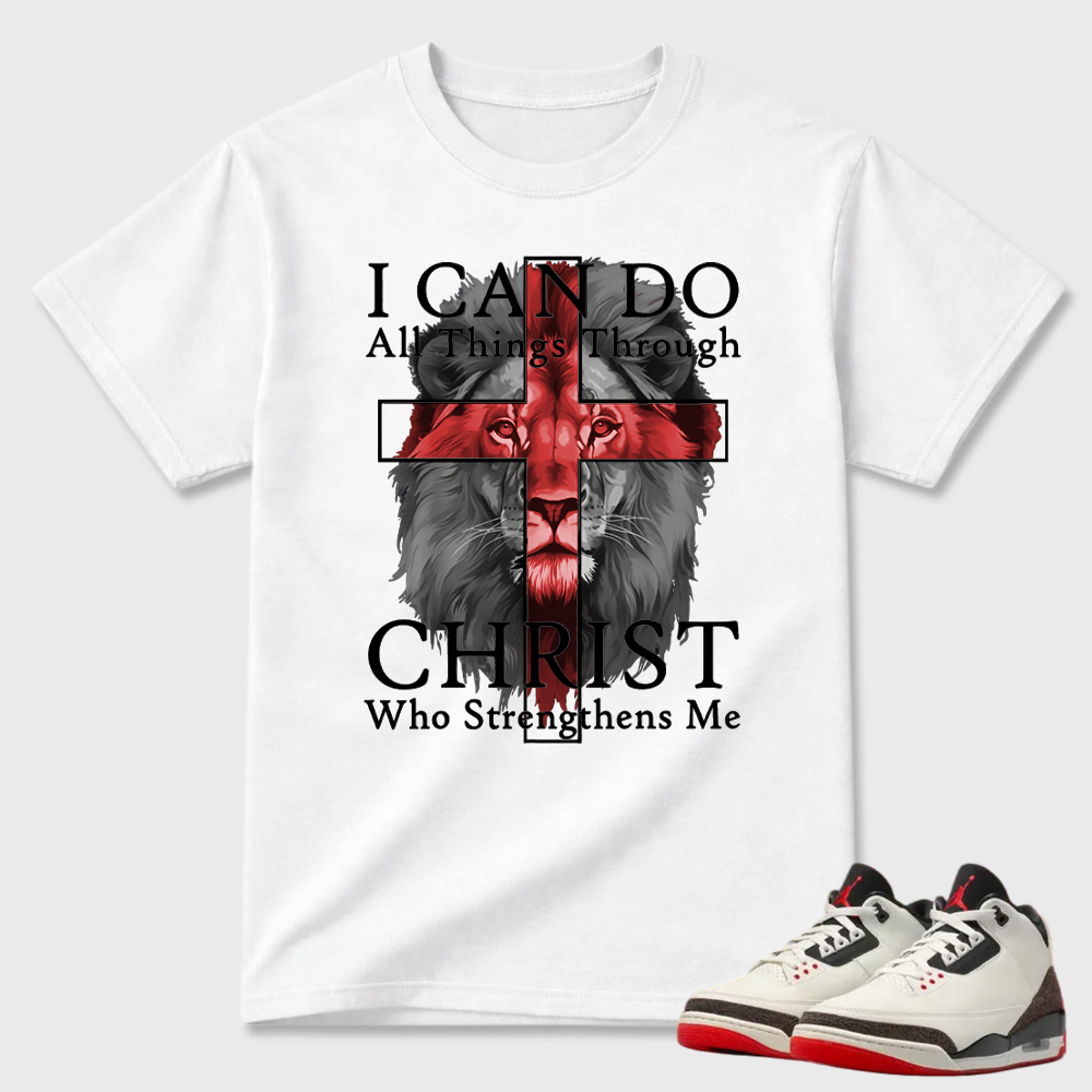I Can Do All Things Through Christ Lion Air Jordan 3 Graphic Tee