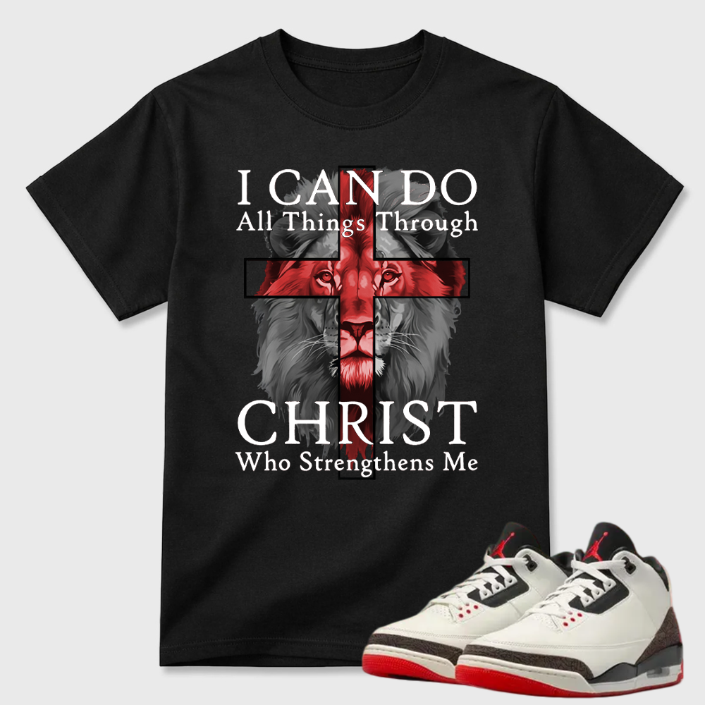 I Can Do All Things Through Christ Lion Air Jordan 3 Graphic Tee