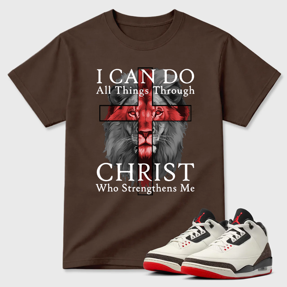 I Can Do All Things Through Christ Lion Air Jordan 3 Graphic Tee