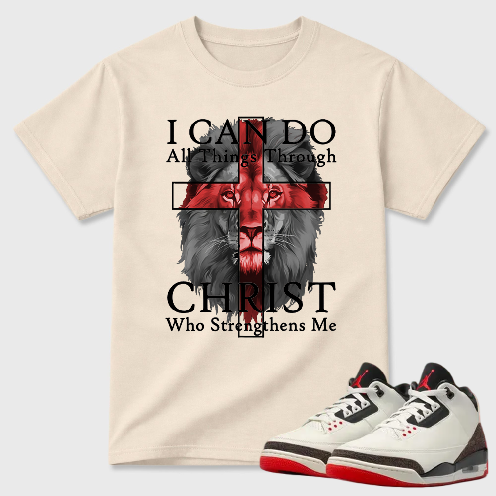 I Can Do All Things Through Christ Lion Air Jordan 3 Graphic Tee