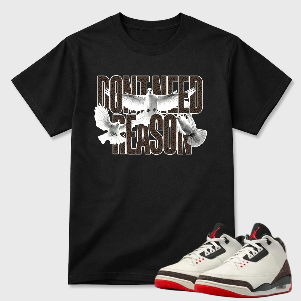 AJ3 World’s Best Dad Match Tee, Match DON’T NEED REASON Shirt