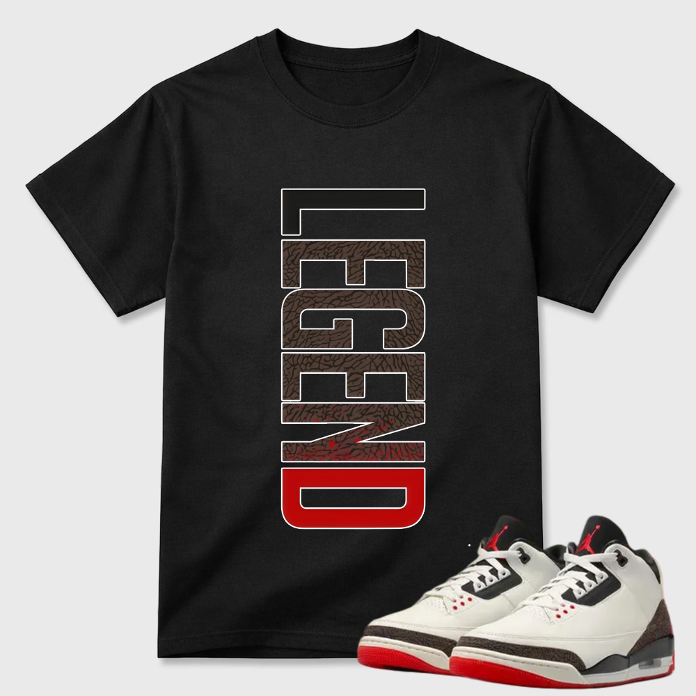 AJ3 World’s Best Dad Match Tee, Match LEGEND Shirt
