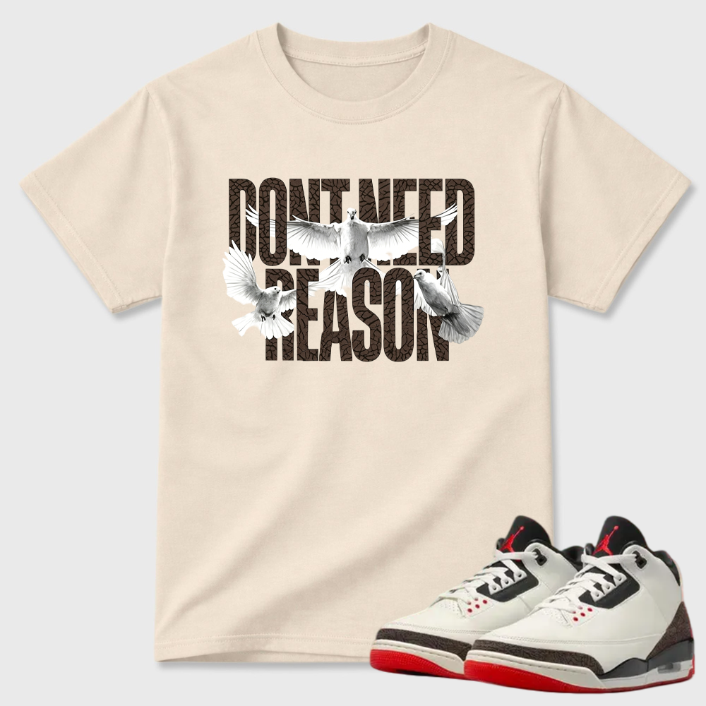 AJ3 World’s Best Dad Match Tee, Match DON’T NEED REASON Shirt