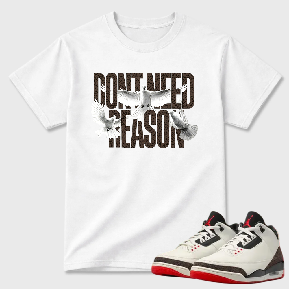 AJ3 World’s Best Dad Match Tee, Match DON’T NEED REASON Shirt