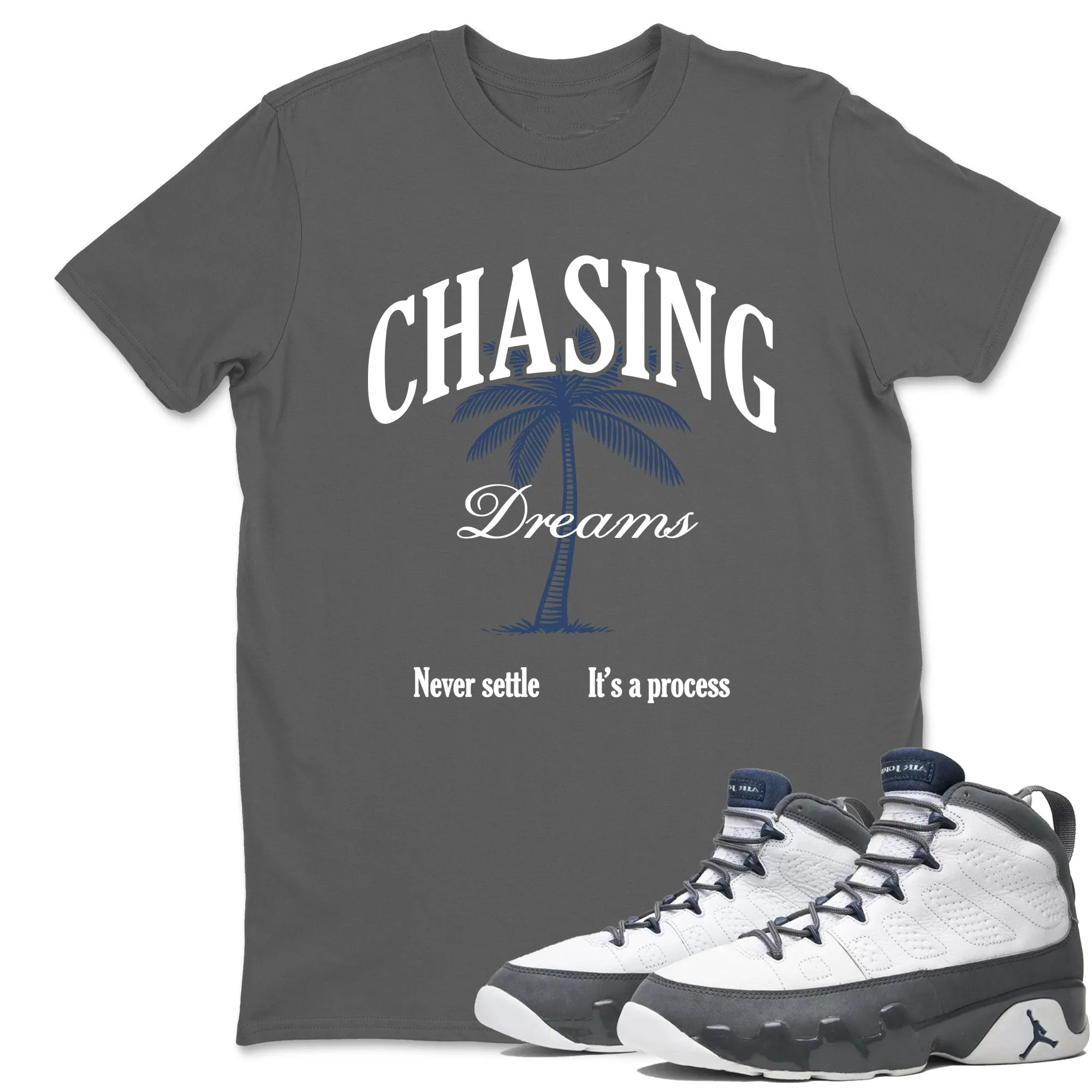 Chasing Dreams Sneaker Tees - Air Jordan 9 Flint Grey