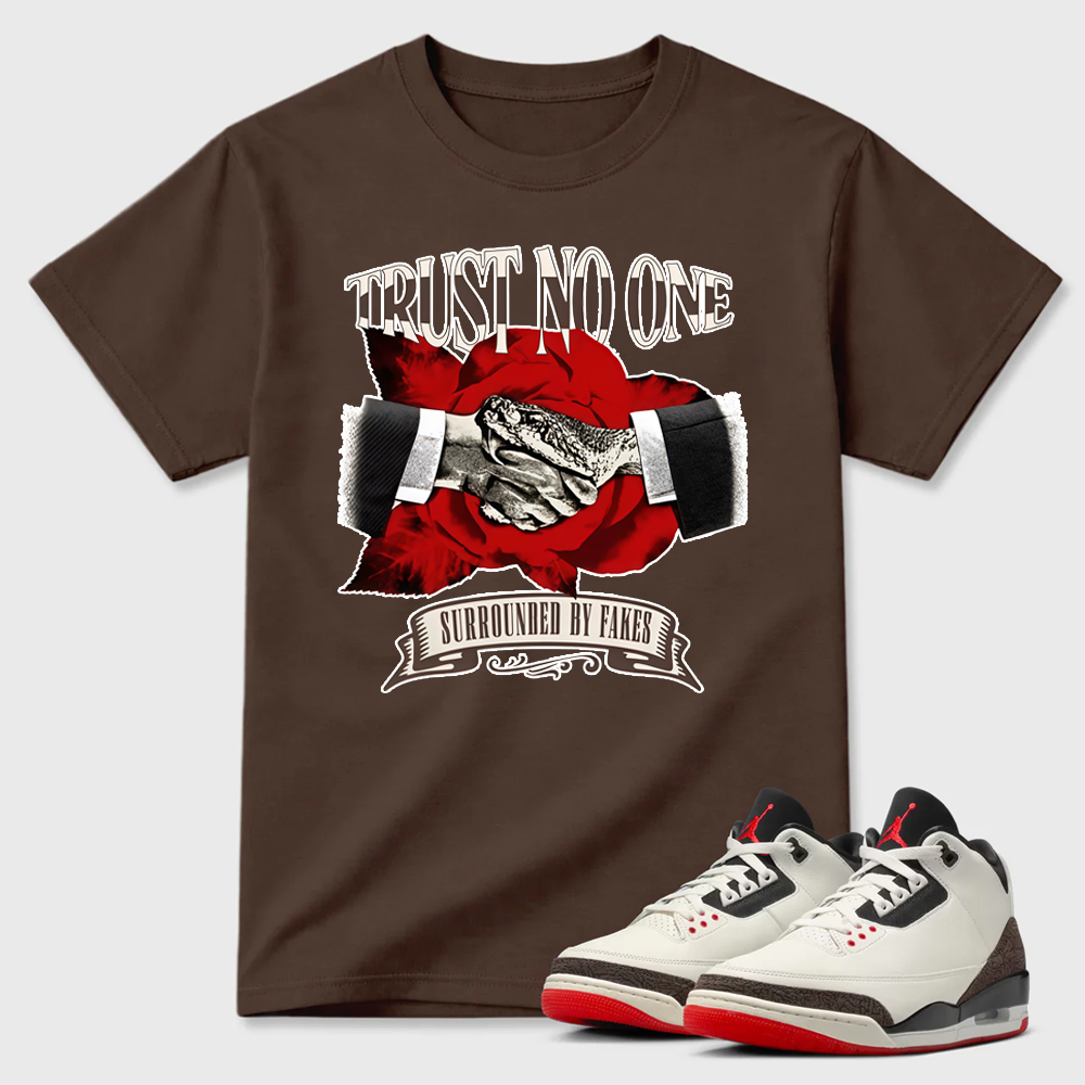 AJ3 World’s Best Dad Match Tee, Match TRUST NO ONE Shirt