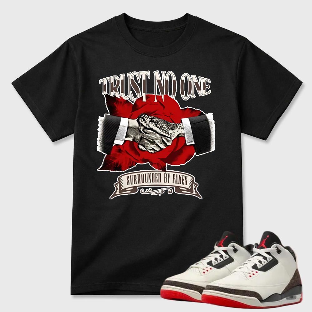 AJ3 World’s Best Dad Match Tee, Match TRUST NO ONE Shirt