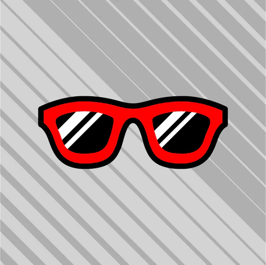SUNGLASSES