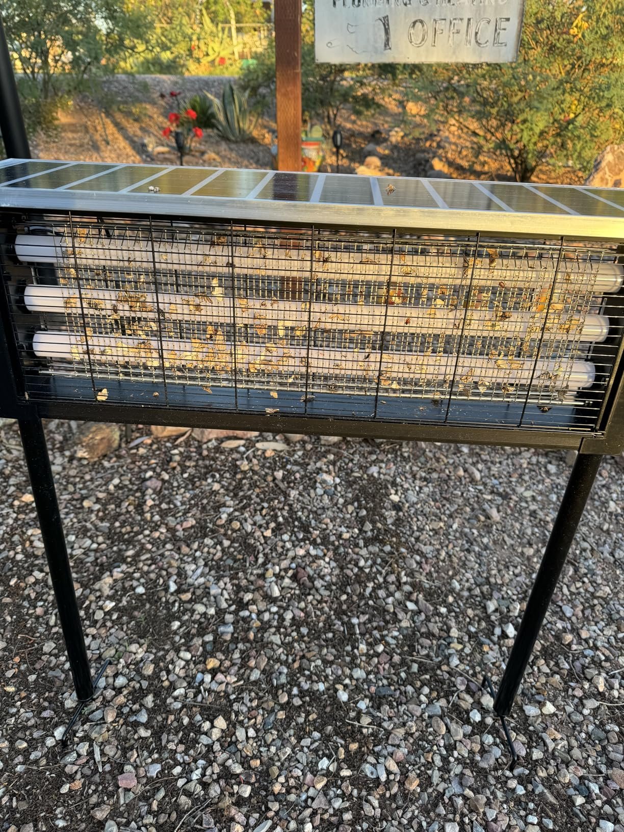 Great bug zapper!