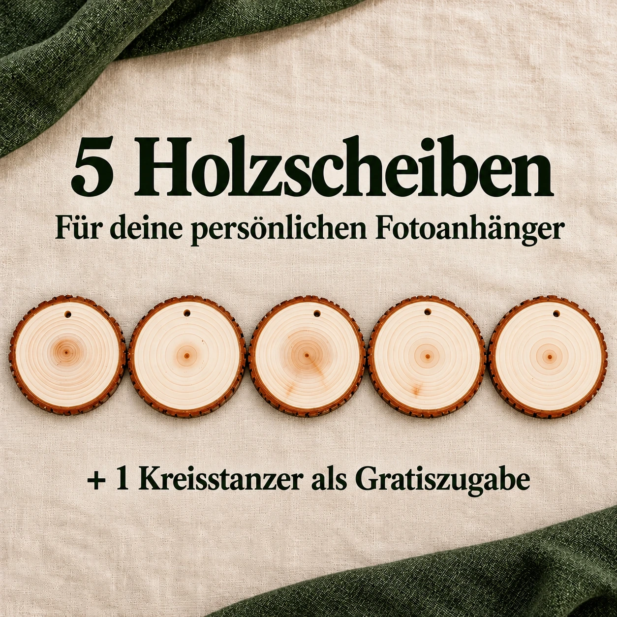 5 Holzscheiben
