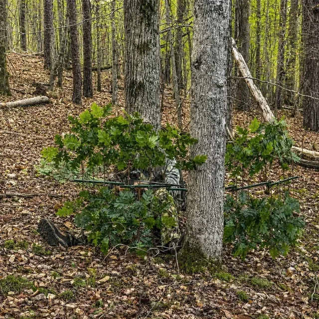Sichtschutz am Baum
