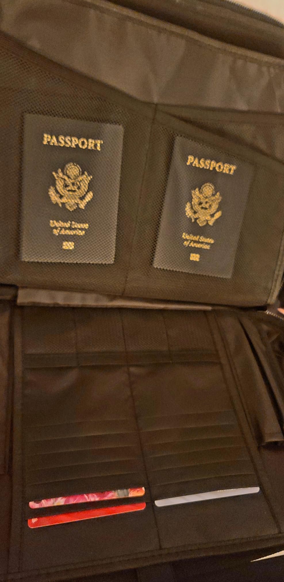 Useful and secure organizer for important papers