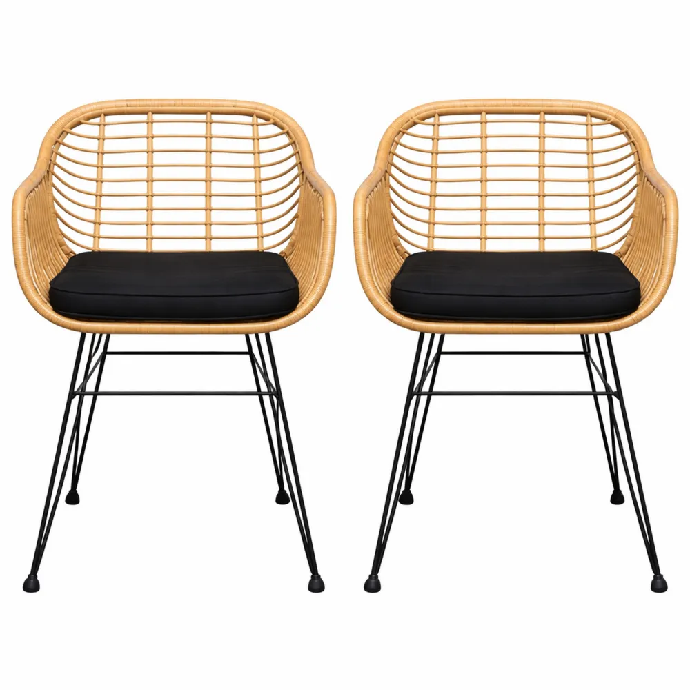 Ensemble de Chaises Vintage pour Cuisine et Jardin en Polyrotin