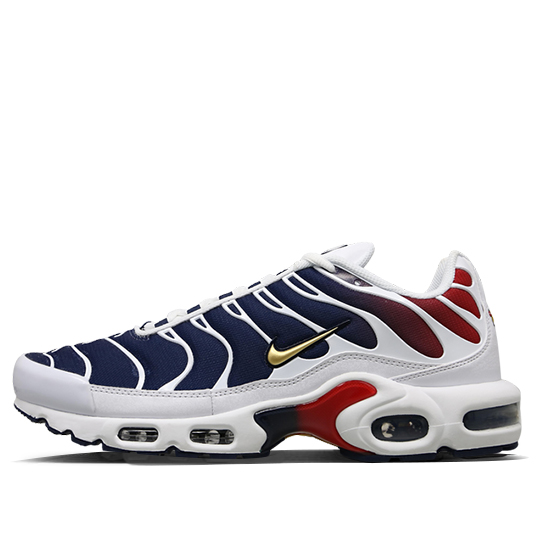 Nike Air Max Plus TN
