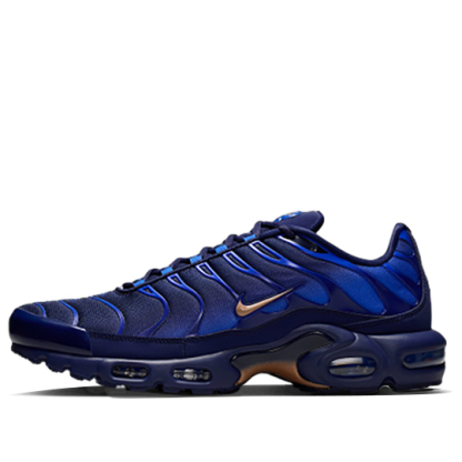 Nike Air Max Plus TN