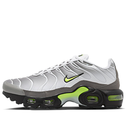 Nike Air Max Plus TN