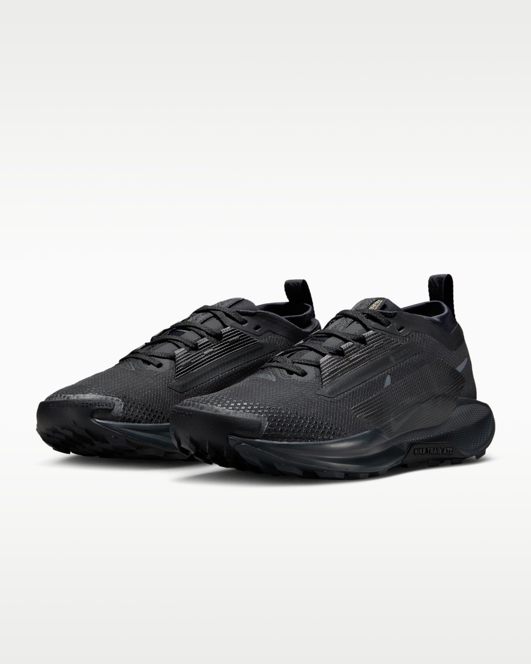 ナイキ ペガサス トレイル 5 GORE-TEX