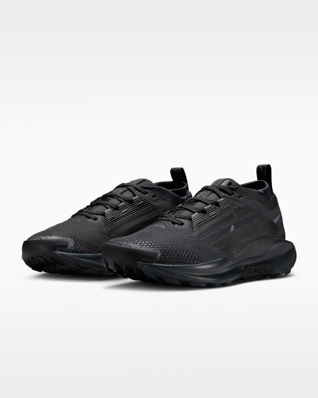 ナイキ ペガサス トレイル 5 GORE-TEX
