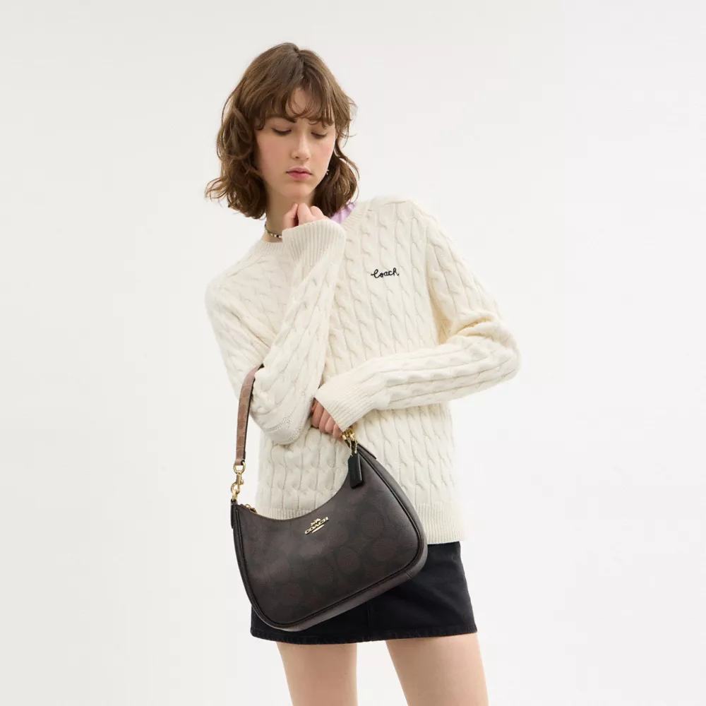 Teri Hobo Bag In Blocked Signature Canvas
